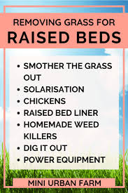 Remove Grass Under A Raised Garden Bed