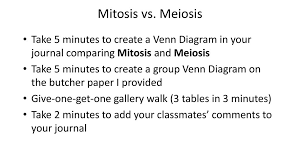 Meiosis And Mitosis Venn Diagram Worksheet Lamasa