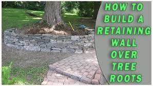 Retaining Wall Over Tree Roots