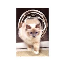Catwalk Superior Cat Door Glass Clear
