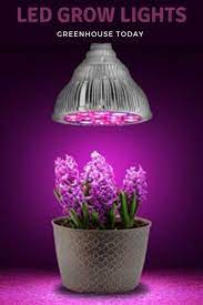 Many people are quick to run for the household led lights because of their low cost compared to 600w led grow lights. Do Led Grow Lights Work Led Grow Lights Grow Lights Led Grow