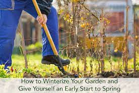 How To Winterize Your Garden And Give