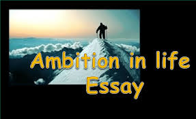 my aim in life essay importance of