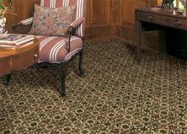 3 types of carpet pests to look out for