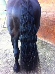 30 Amazing Horse Tail Braids Ideas to make Your Friends Jealous - Tail and  Fur | Horses, Horse braiding, Horse mane