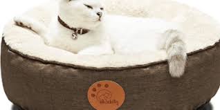 Book at one of our 9 california locations today! Cat Boarding Near Me Prices And How To Choose Cats Dogs Blog