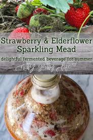 strawberry elderflower sparkling mead