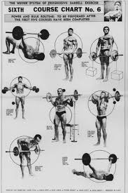 The Weider System Of Progressive Barbell Exercise Exercise