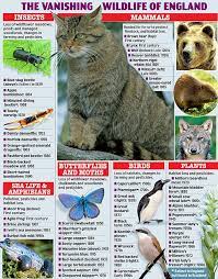 Learn about all the amazing animals in united kingdom. The 492 Native Species Driven To Extinction Daily Mail Online
