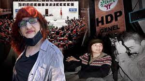HDP'li Semra Güzel tutuklandı - Son Dakika Haberleri