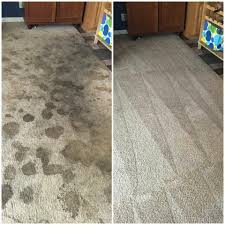 carpet savers carpet cleaning