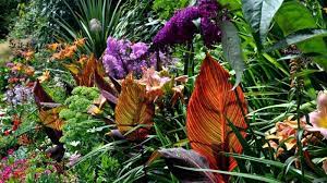 Spectacular Tropical Gardening Designs