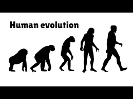 Timeline Of Human Evolution