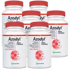 azodyl small caps 6 pack 540 capsules