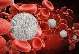 What Is A Complete Blood Count Cbc Test Results