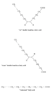 chemical structure of trans fatty acids
