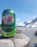 Why is ginger ale so refreshing?