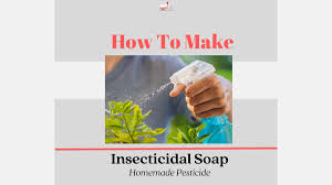 how to make insecticidal soap homemade
