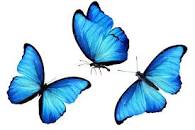 Afbeeldingsresultaat voor gratis plaatje van een vlindertje