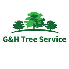 In jackson, we can use the tree model to represent the json data structure and perform different operations. G H Tree Service Home Facebook
