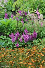 Tiny brilliantly colored flowers bloom for months starting in late spring. Shade Loving Perennial Flowers 15 Beautiful Choices For Your Garden