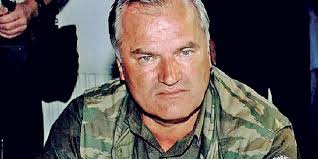 Ratko Mladic - Mémoires de Guerre