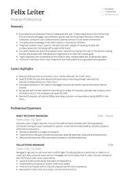 Professional Personal Banker Resume Templates to Showcase Your     RecentResumes com
