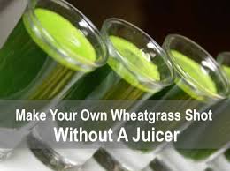make your own wheatgr shots without