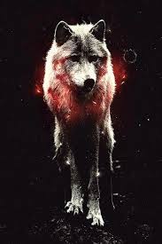 34 cool wolf iphone wallpapers