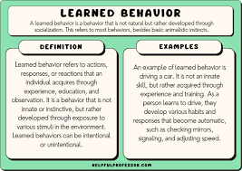 15 learned behavior exles 2024
