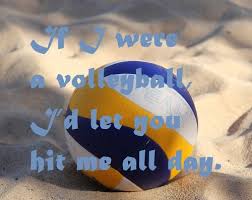 Our ultimate collection of pick up lines or chat up lines are perfect for any situation that requires fun. Volleyball Pickup Lines Pickuplinesbest
