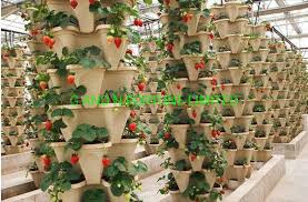 Stackable Vertical Planter Pot Garden