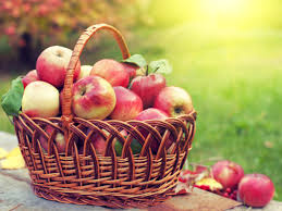 the forbidden fruit eating few apples