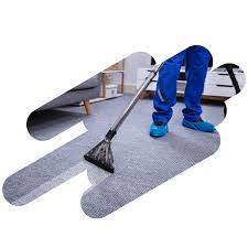 carpet cleaning geneva house cleaners