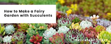 How To Make A Fairy Garden With Succulents