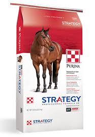 Strategy Professional Formula Gx Horse Supplement Purina