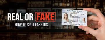 how to spot fake ids w exles