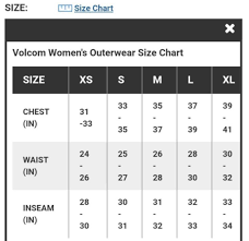 Volcom Womens Knox Insulated Gore Tex Ski Snow Pants Xs