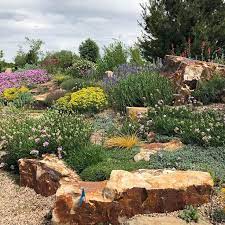 Rock Garden Garden Landscape Design