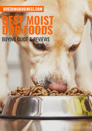 10 best moist dog foods healthy