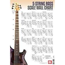 Amazon Com Corey Dozier 5 String Bass Guitar Scale Wall
