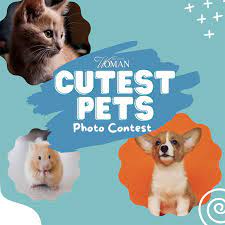 meet the cutest pets 2023 gulf coast
