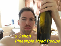how to make mead with fruit juices