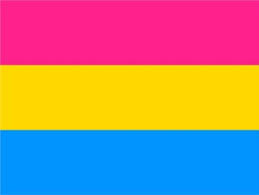 See the full pansexual definition. Pansexual Flag 3ft X 5ft Printed Polyester
