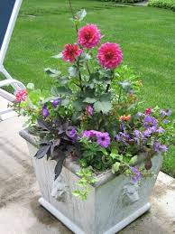 complete guide to container gardening