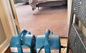 carpets to dry after cleaning