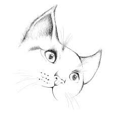 Voir plus d'idées sur le thème dessins mignons, dessin chat, dessin d'animal. Chat Dessin Imagenes Y Fotos 123rf
