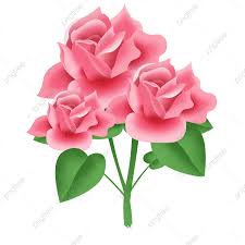 rose flower bouquet png picture pink