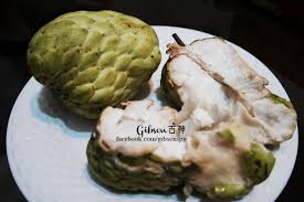 Planting and growing custard apple from seeds in container at home starts with the seed germination. Food Hunt Sugar Apple