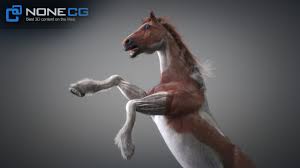 ArtStation - Animated 3D Horses ...